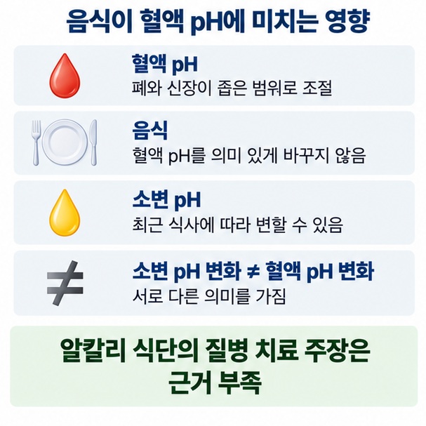음식은 소변 pH에는 영향을 줄 수 있지만 혈액 pH는 폐와 신장이 일정하게 조절하며 식단만으로 크게 바뀌지 않는다는 설명 이미지