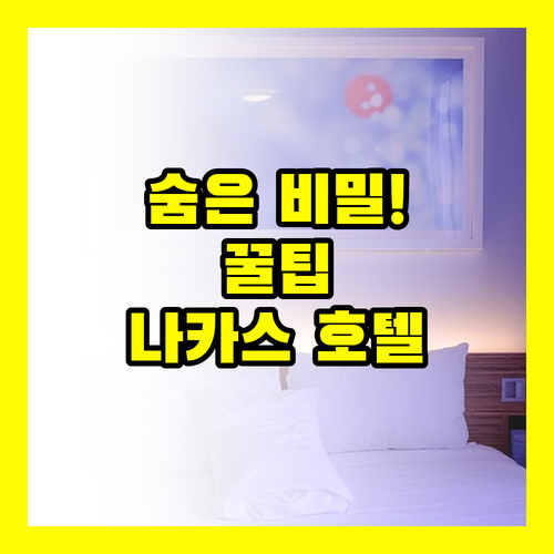 후쿠오카 나카스 역세권 호텔 3곳의 ..