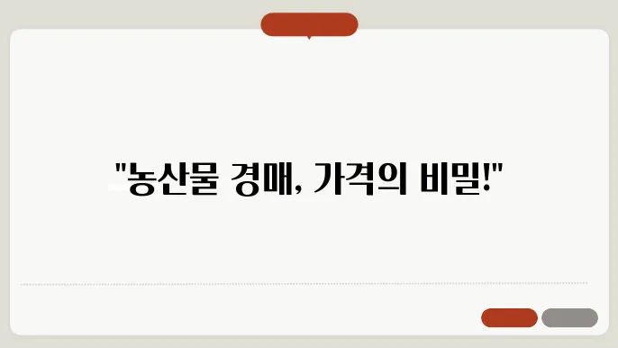 농협 농산물 경매 가격