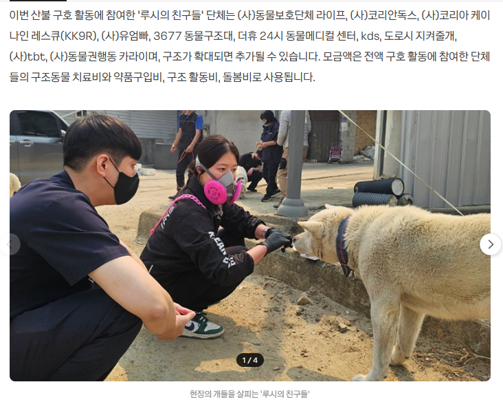 산불 피해 동물 구조 동참