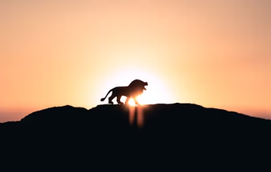 태종 이방원 가계도 후궁 아들 신빈 신씨 자녀 부인들