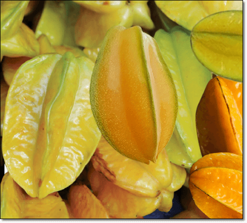 스타프루트 과일