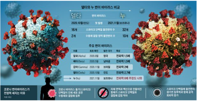 델타변이와 오미크론변이을 현미경으로 본 모양과 두 변이 바이러스의 차이점을 비교해 놓은 그림