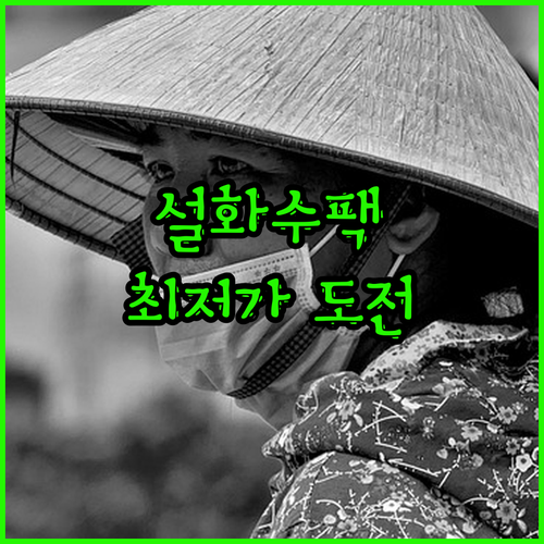 설화수 마스크팩 긴급 할인 백삼팩 윤