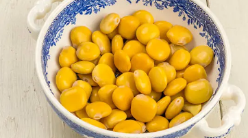 루핀콩 관련 사진