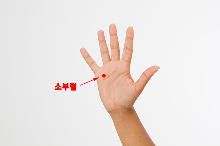 [파란형-Tipoazul] 음주 후 두통 해결 방법 / 숙취 해결 방법 / 숙취해소 음식