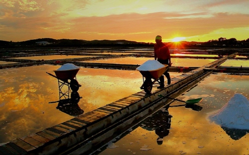 경기도 안산 여행지 추천 갈만한곳 - 동주염전