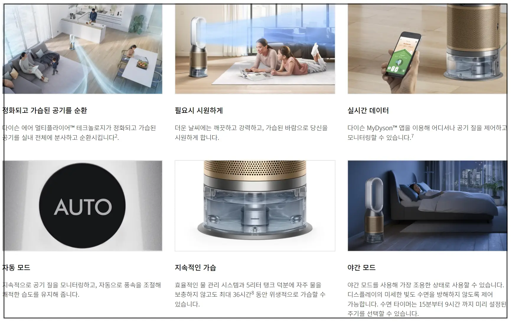 다이슨 스트레이트너