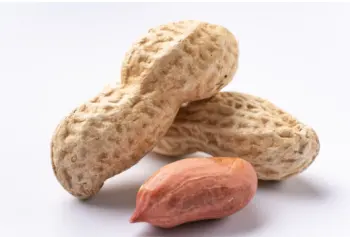 땅콩 효능 및 영양성분, 부작용