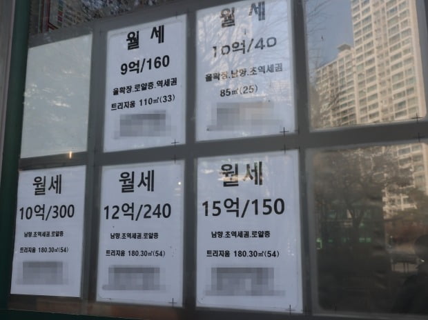 청년월세 지원