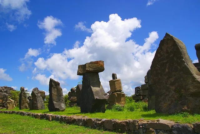 마늘장아찌 담그는 방법 알토란 백종원 레시피 비교_3