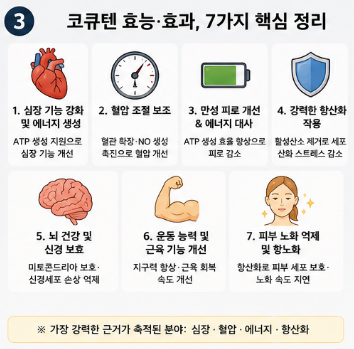 코큐텐-효능-혈압-효과-성분-함량-복용시간-추천-제품