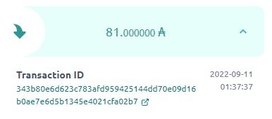 스페이스 퍼그 패시브 인컴-내역