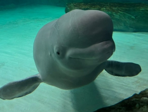 롯데월드 아쿠아리움