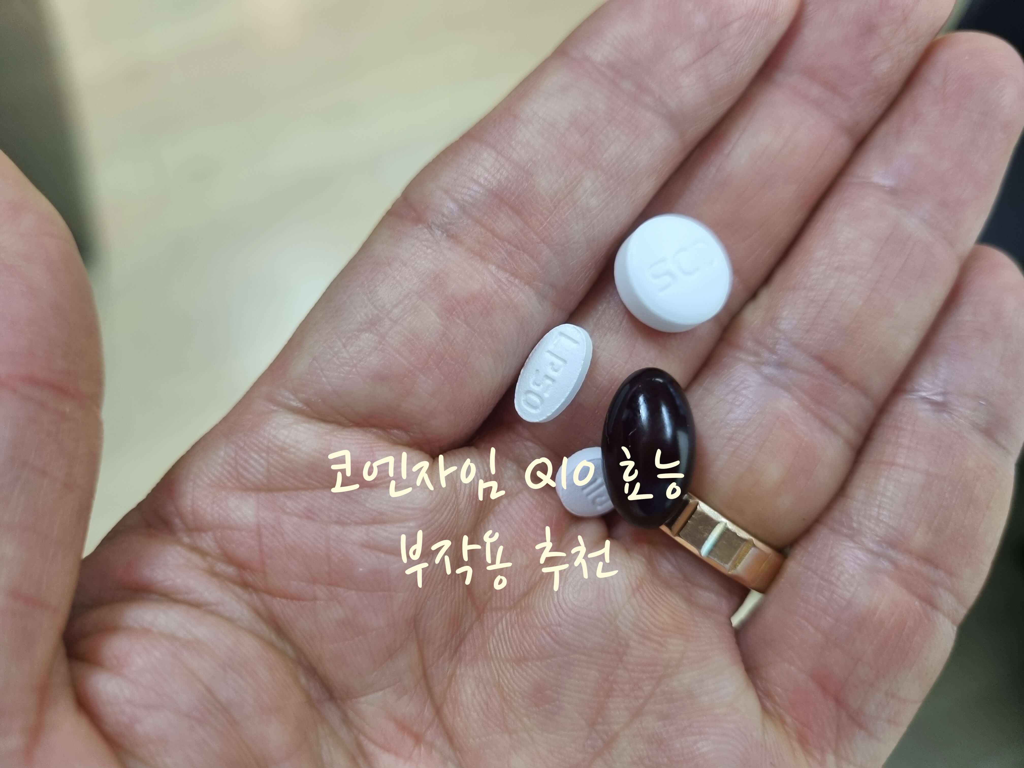 코엔자임 Q10