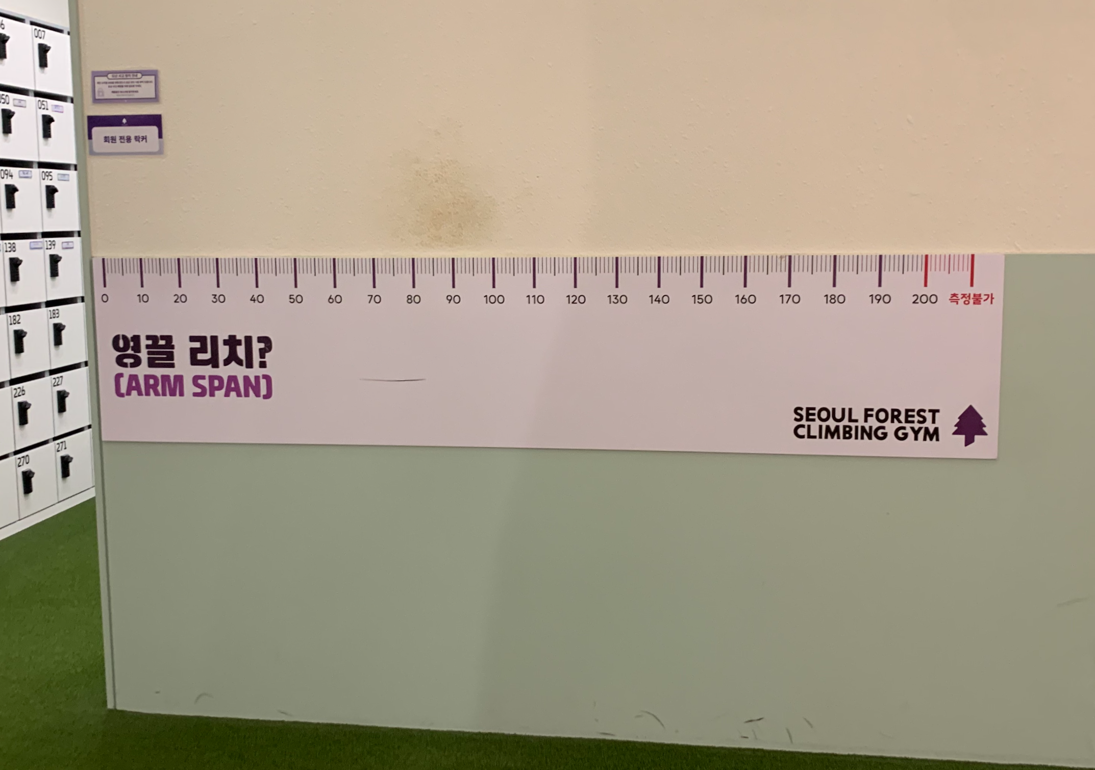 서울숲클라이밍