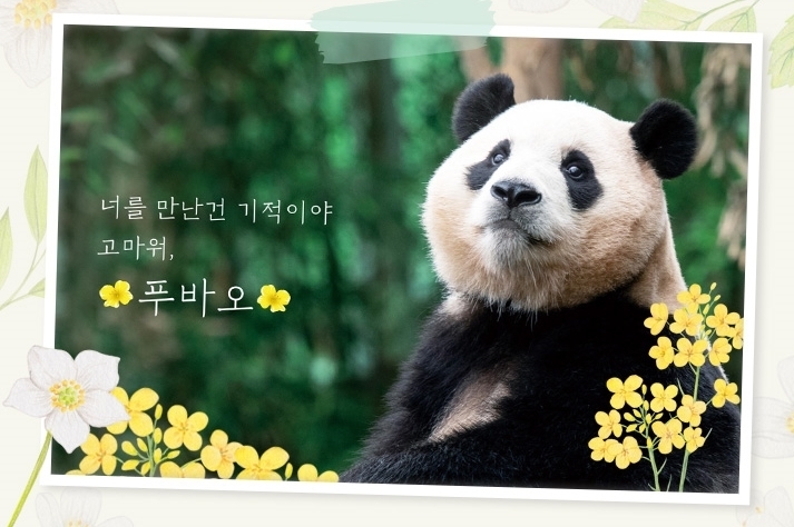 푸바오