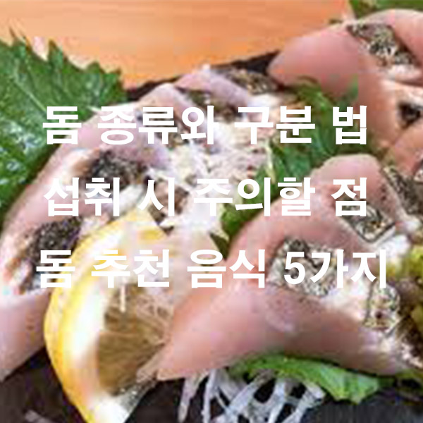 돔 종류와 구분 법 섭취 시 주의할 점 돔 추천 음식 5가지