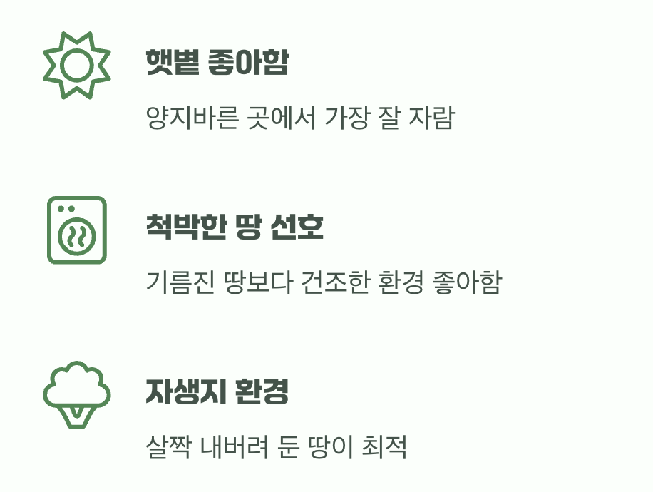 이 들꽃을 이해하는 첫걸음