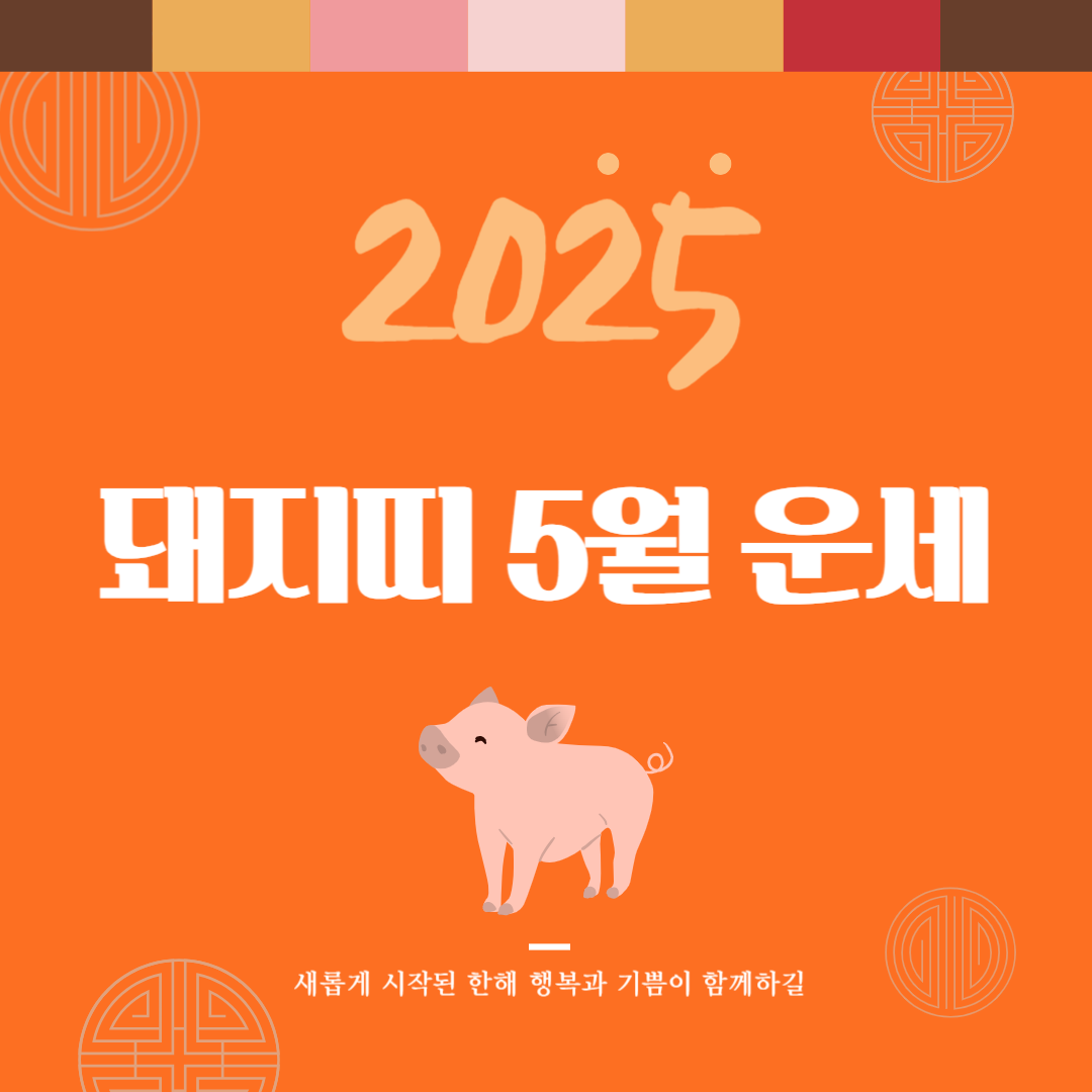 2025년 을사년 『돼지띠』 5월 운세 썸네일