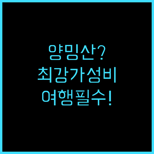 체크 인 셀렉트 타이베이 양밍샨 양밍..