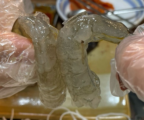 간이횟집 생새우