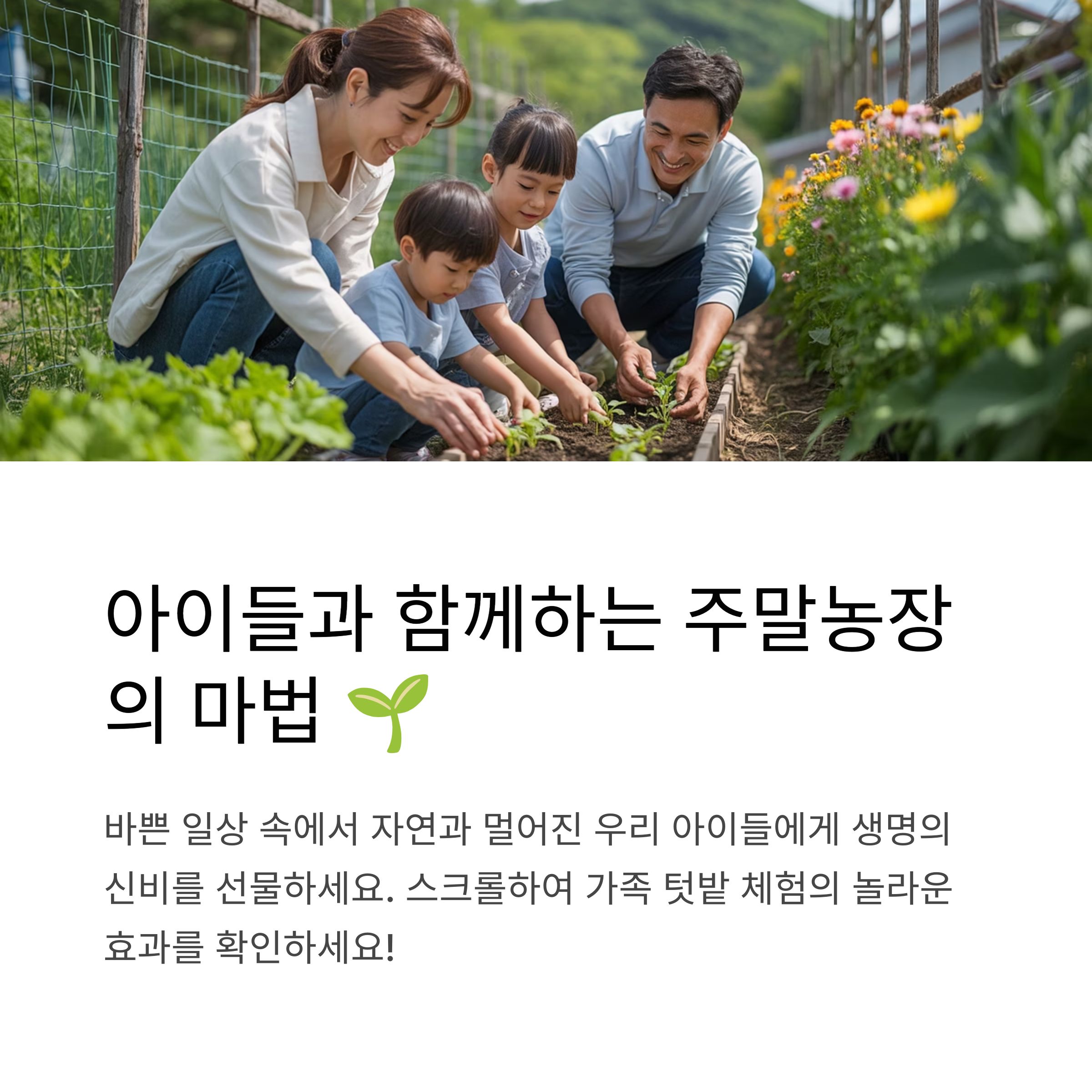 가족과 함께하는 주말농장 체험, 아이와 자연에서 배우는 텃밭 가꾸기 방법
