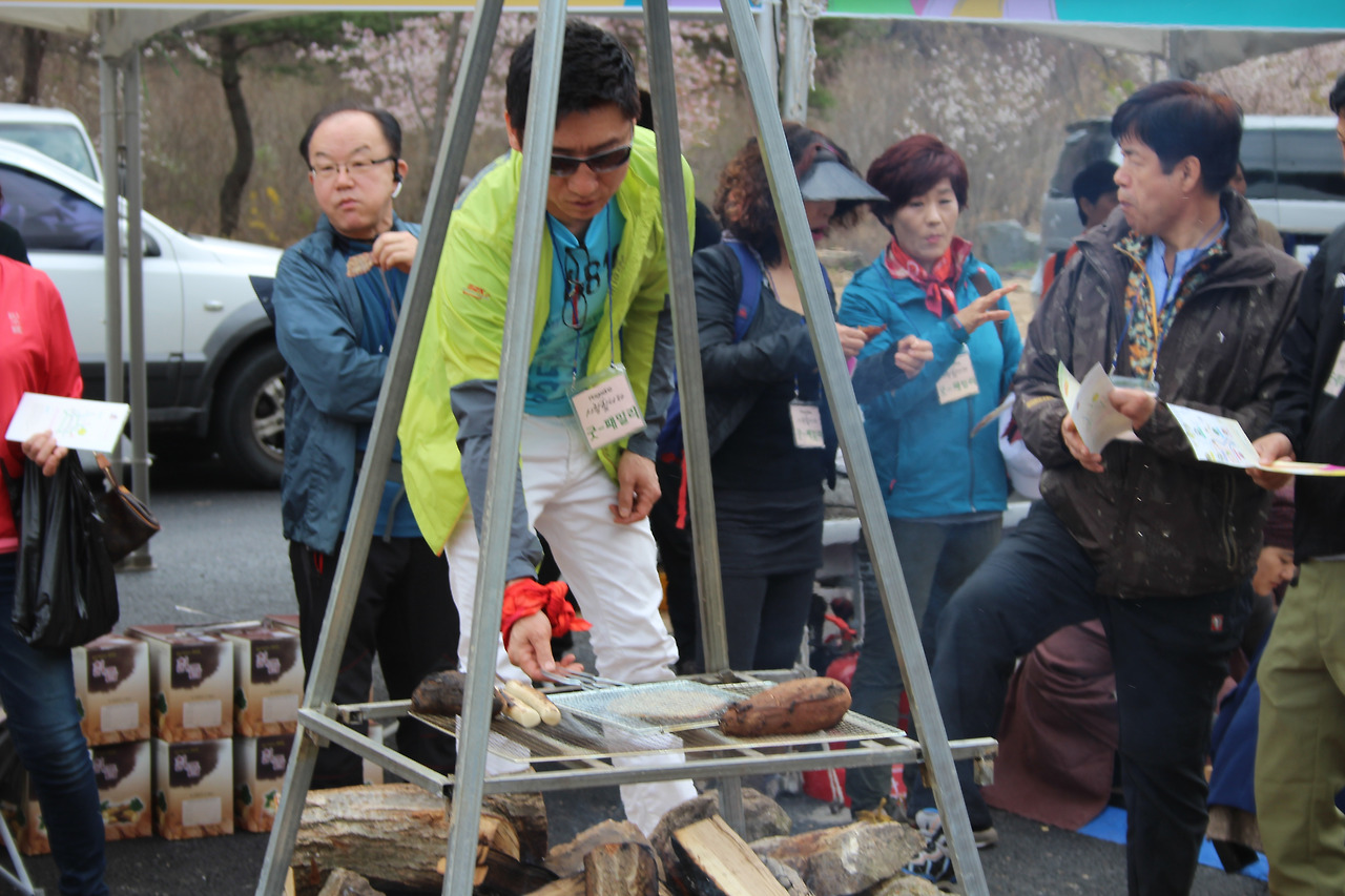 2025 금산 보곡산골 산벚꽃축제 일정 맛집 주차 꿀팁 정리