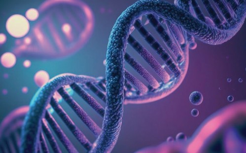 디지털 성범죄 피해