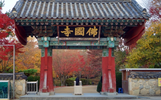 경주이미지