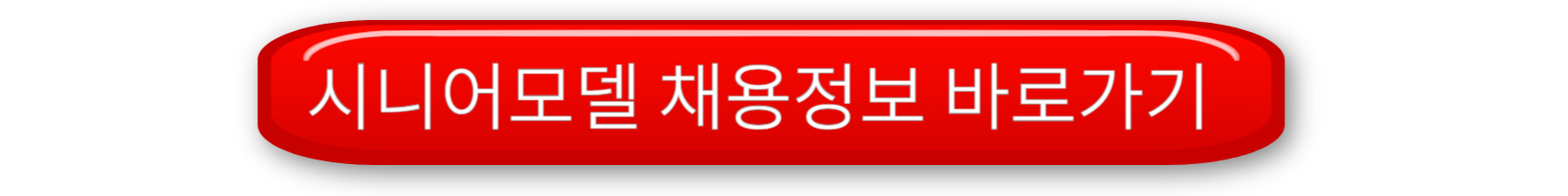 시니어 모델의 수익 및 급여 정리, 초보와 프로 급여 차이
