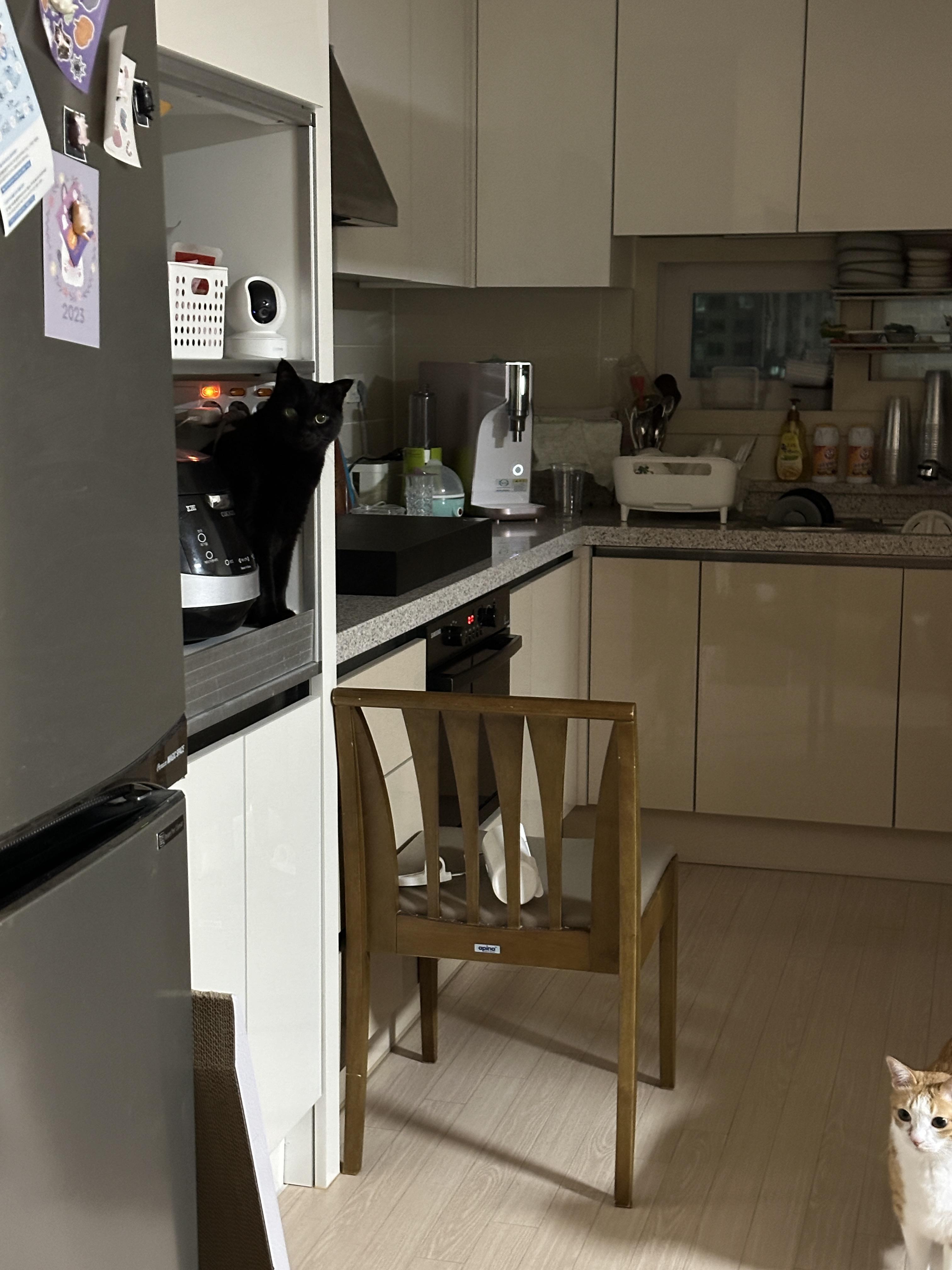 엄마랑_눈마주친_건이