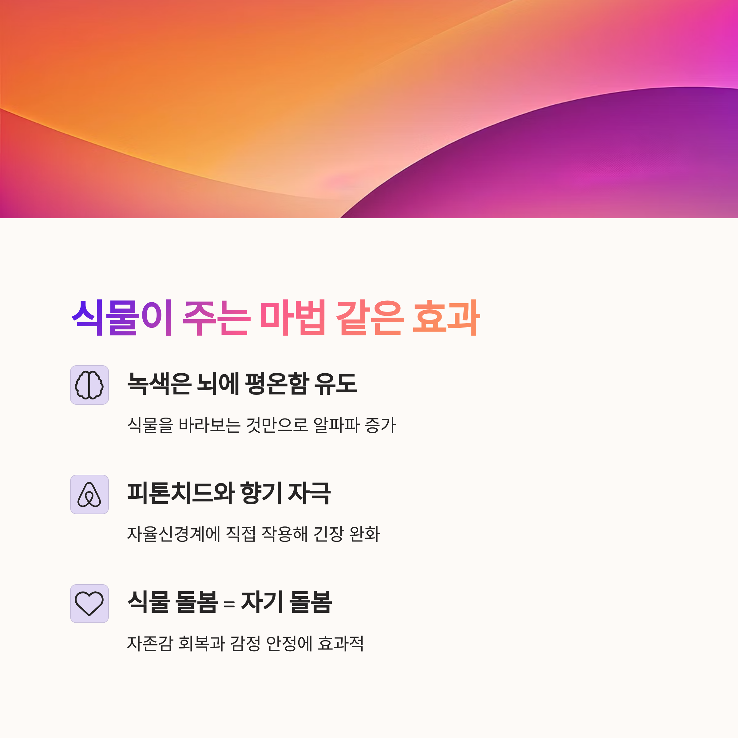 왜 식물이 심신 안정에 도움이 될까?