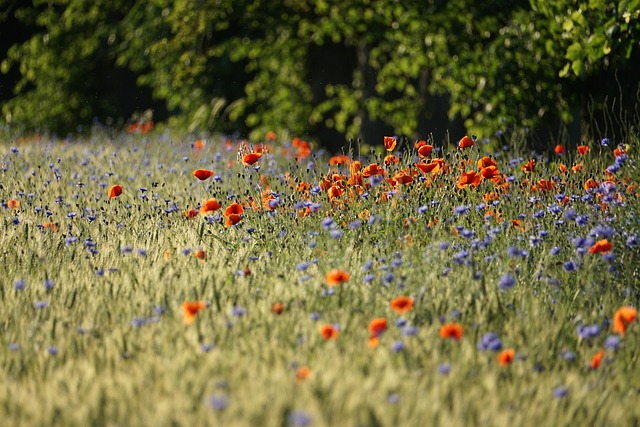OK저축은행 직장인OK한도우대론 6