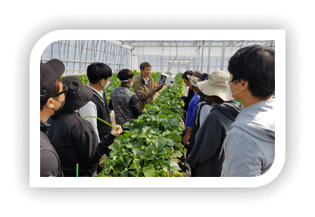 스마트팜혁신밸리 선발 절차&#44; 가산점&#44; 심사 배점 기준(스마트팜코리아)