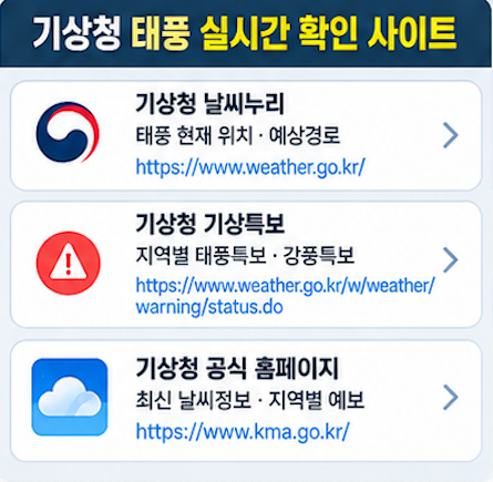 태풍 참피 역대 가장 늦은 태풍 가능성과 여행 항공편 주의사항