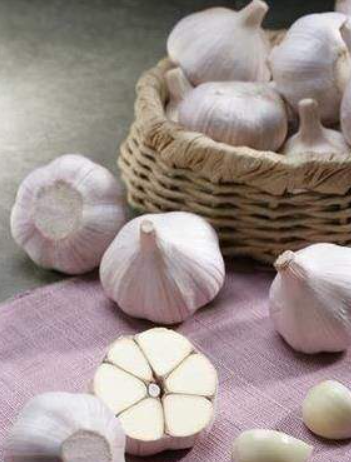 서산 6쪽마늘축제 일정 장소 가격 체험