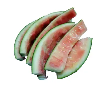초파리 없애는 방법20
