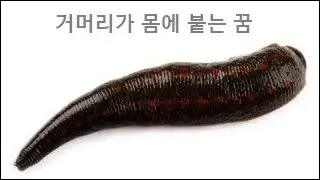 거머리가 몸에 붙는 꿈