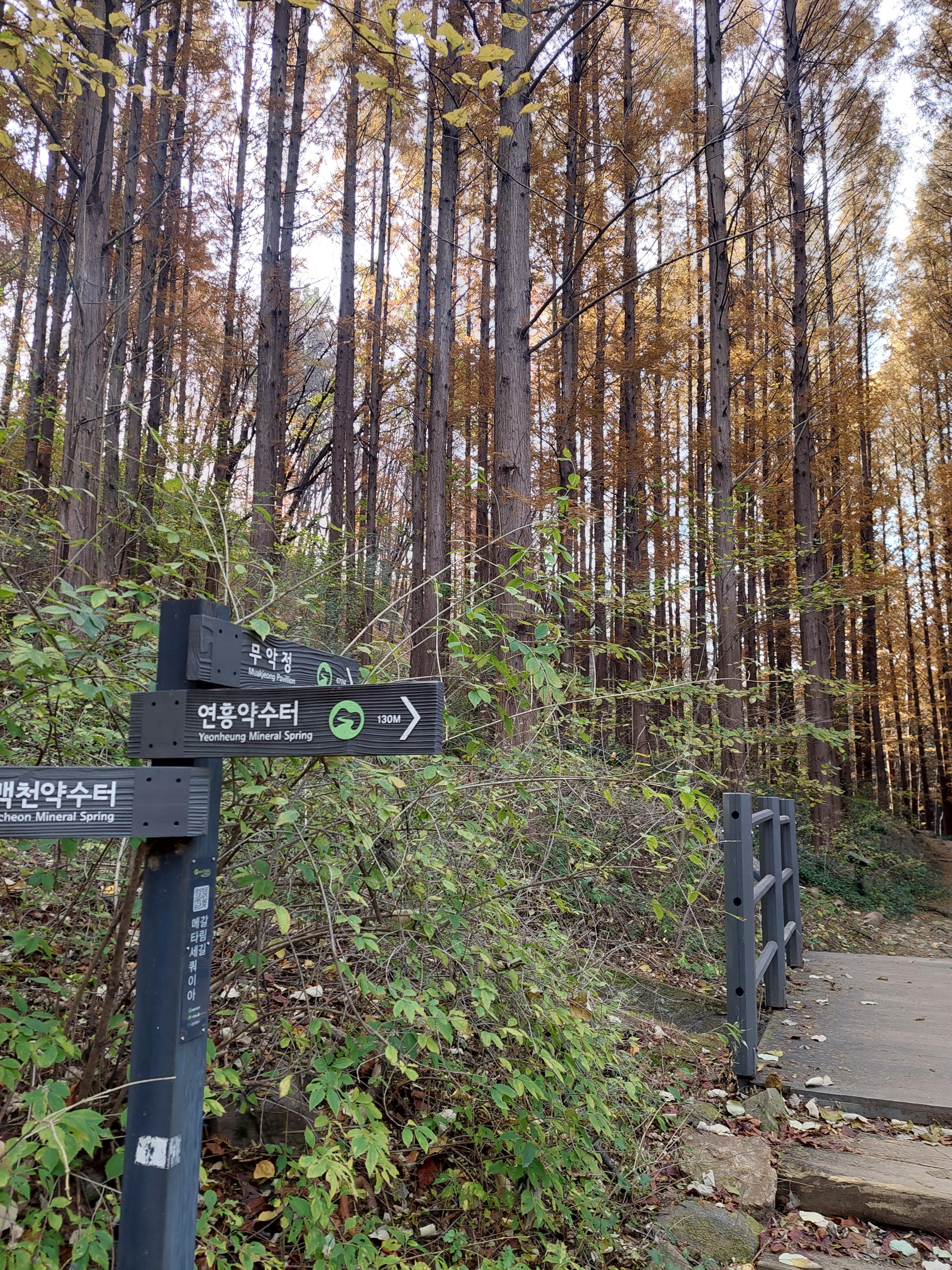 안산