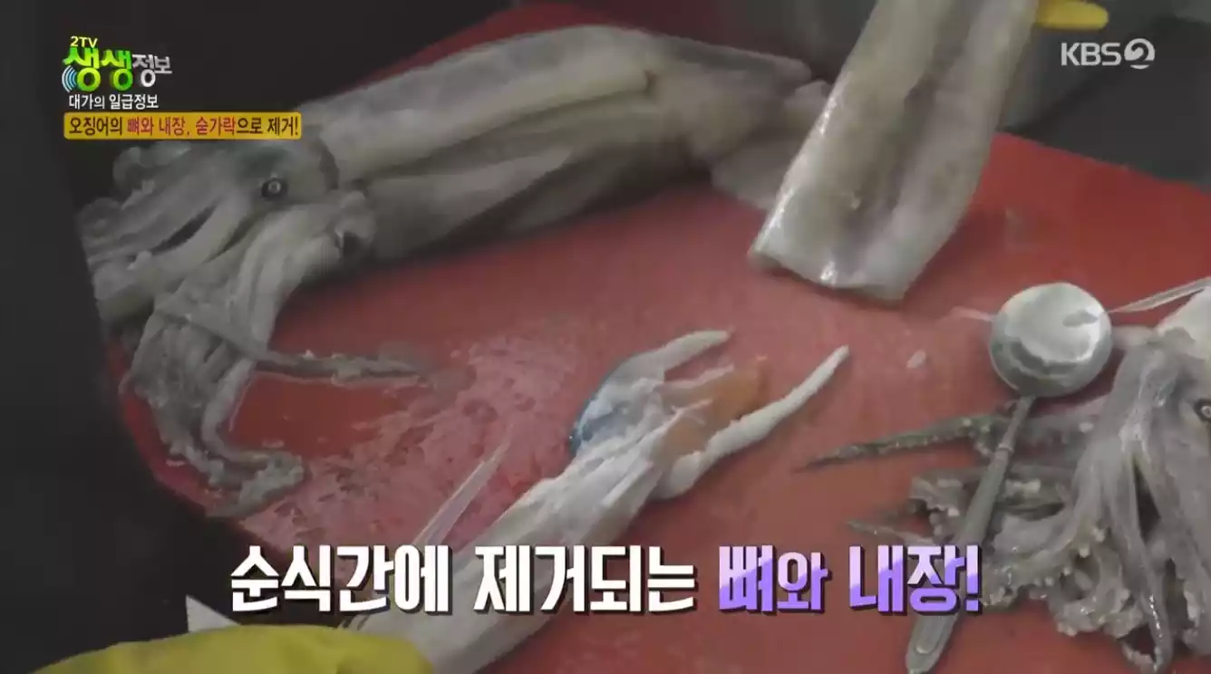 오징어