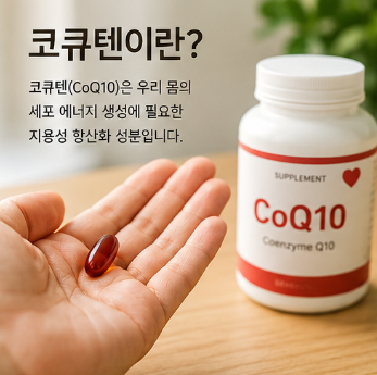 코큐텐 언제 먹어야 효과 좋을까? 아침·저녁 복용 시간 총정리5