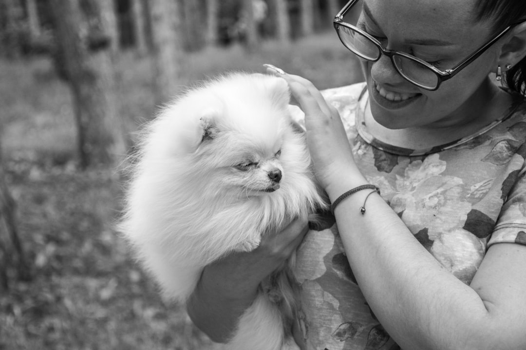 Pet Show