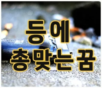 총맞는걸 본 꿈 다른 사람이 총에 맞아 죽는 꿈 사람들이 총맞아 죽는 꿈 해몽 풀이집_4