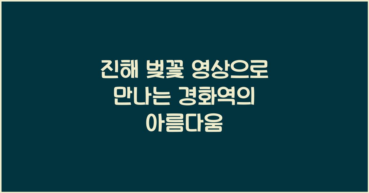 진해 벚꽃 영상