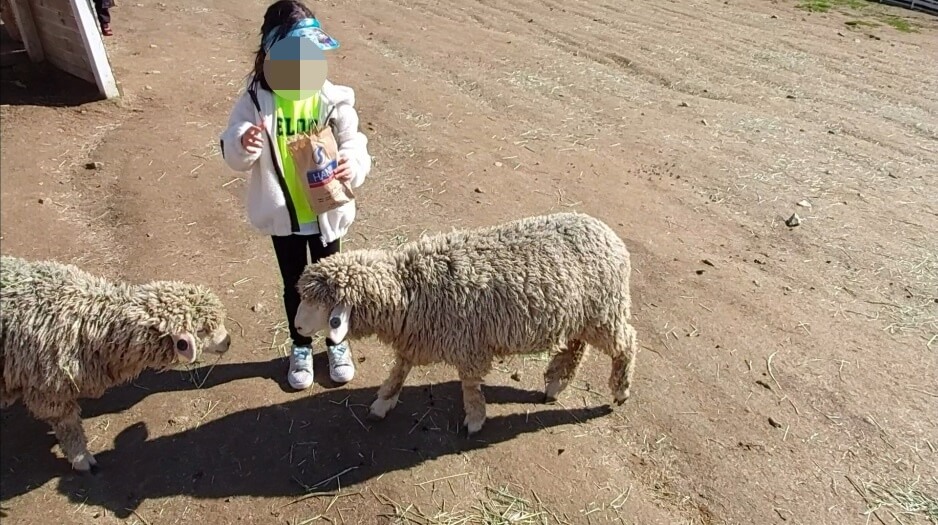 건초주기체험