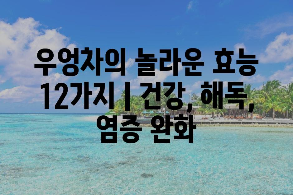 샘플 (72)