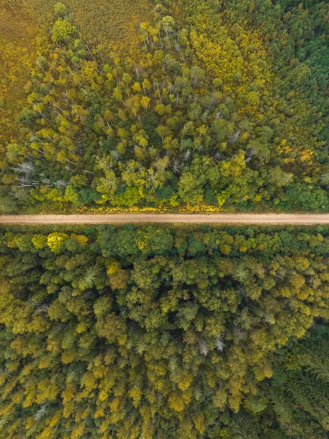 산림복지서비스이용권 조건확인하기