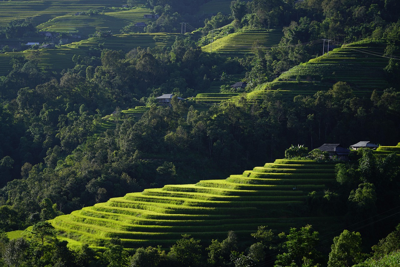 청년·신혼부부 주거지원 혜택과 전략 가이드