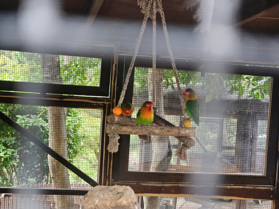 신라호텔 사육장